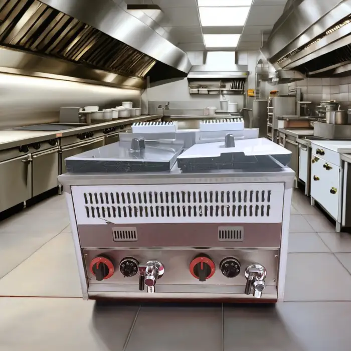 Commercial Gas Stainless Steel Deep Fryer Machine Temperature-Control Double Tanks Condition for Restaurant Use