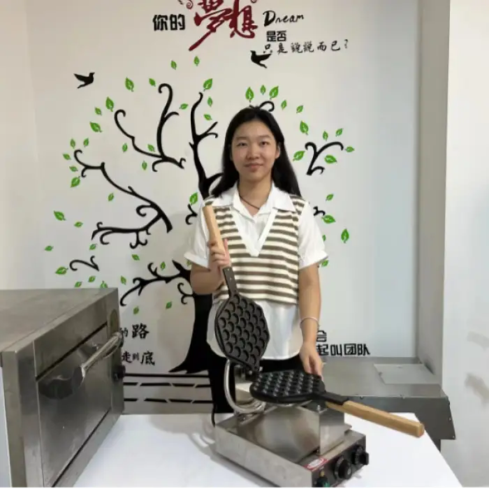 Cast Iron Non-Stick Mini Pancake Maker 25 In 1 Pancake Maker Machine (Air freight)