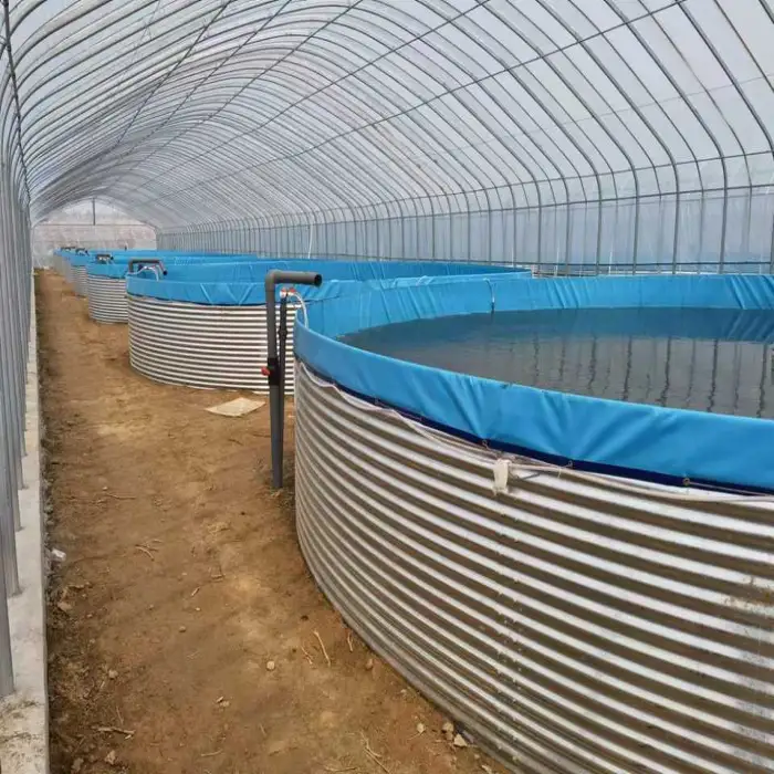 14000 Liter Diameter 4m X Height 1.15m Fish Farming Equipment Pond Recirculating Aquaculture System Ras Aquaculture Tank