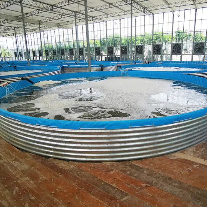 14000 Liter Diameter 4m X Height 1.15m Fish Farming Equipment Pond Recirculating Aquaculture System Ras Aquaculture Tank