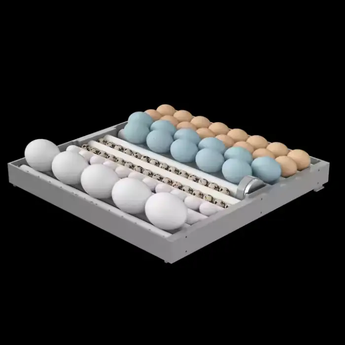 98% Hatching Rate Farming Equipment for Chicken Duck Full Automatic Eggs Incubators Blue Bird Egg Incubators for