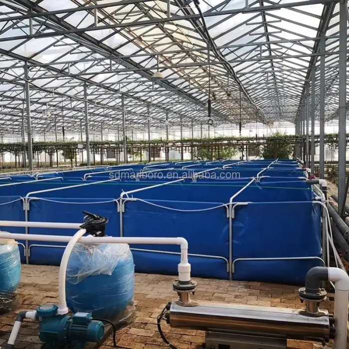 Customizable Aquaponics System for Fish Aquaponics Raft Bed Fish Aquaponics Tanks