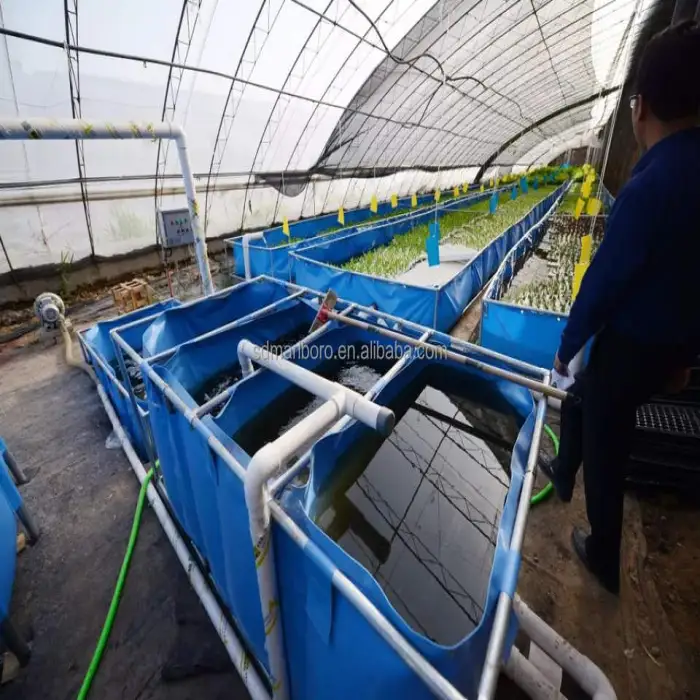 Customizable Aquaponics System for Fish Aquaponics Raft Bed Fish Aquaponics Tanks