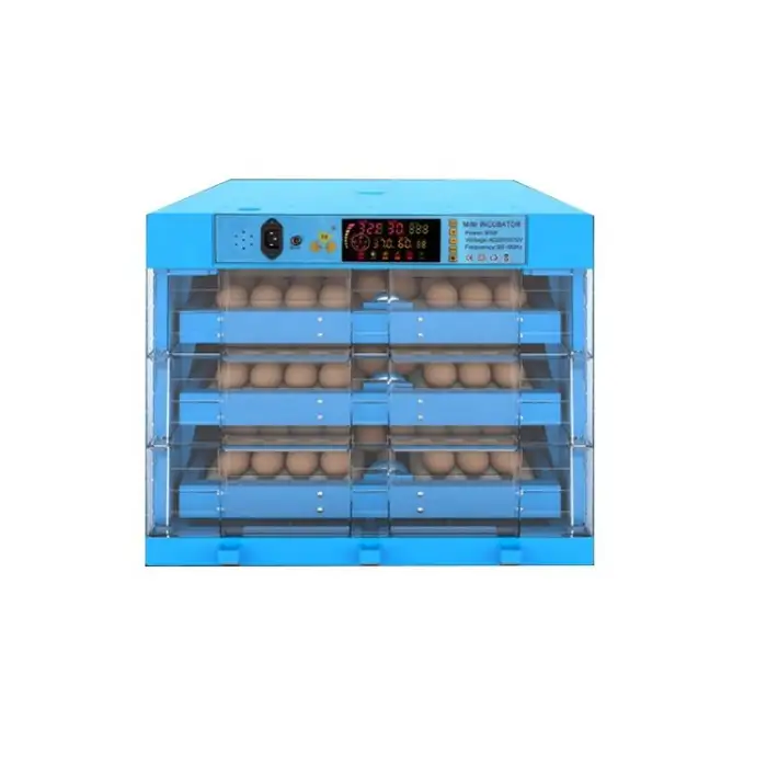 Fully Automatic Electric 12v Dc 110v AC Power 320  Eggs Incubator
