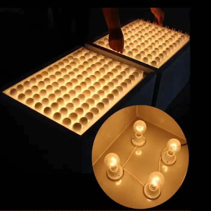 Chicken Egg Fertility Tester for Poultry Farm