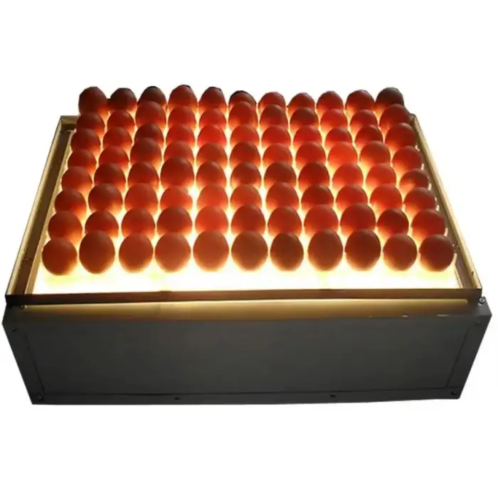 Chicken Egg Fertility Tester for Poultry Farm