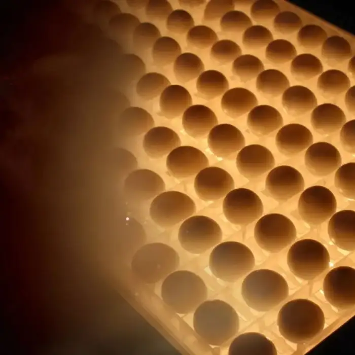 Chicken Egg Fertility Tester for Poultry Farm