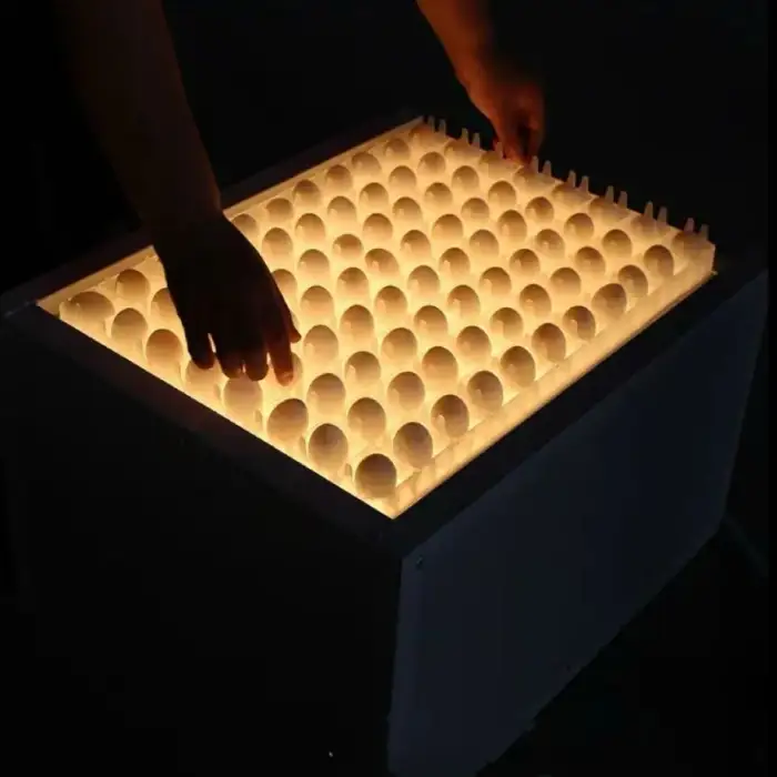 Chicken Egg Fertility Tester for Poultry Farm