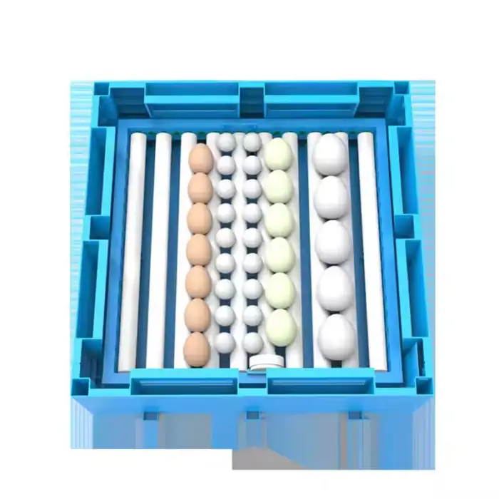 Dual Power 220V 12V 48 64 Egg Fully Automatic Egg Hatching Machine Incubator Dual Power Brood Egg Incubators for