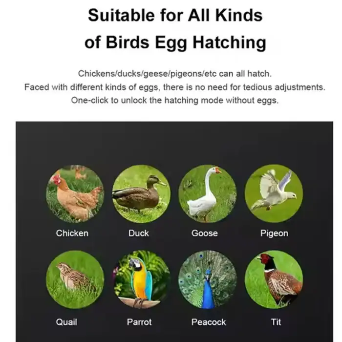 Dual Power 220V 12V 48 64 Egg Fully Automatic Egg Hatching Machine Incubator Dual Power Brood Egg Incubators for