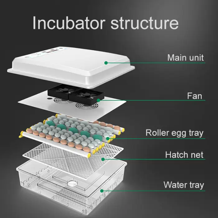 Farm Eggs Hatching Equipment Full Automatic Chicken Egg Incubator for 112 64 Eggs 12v 220v Incubator