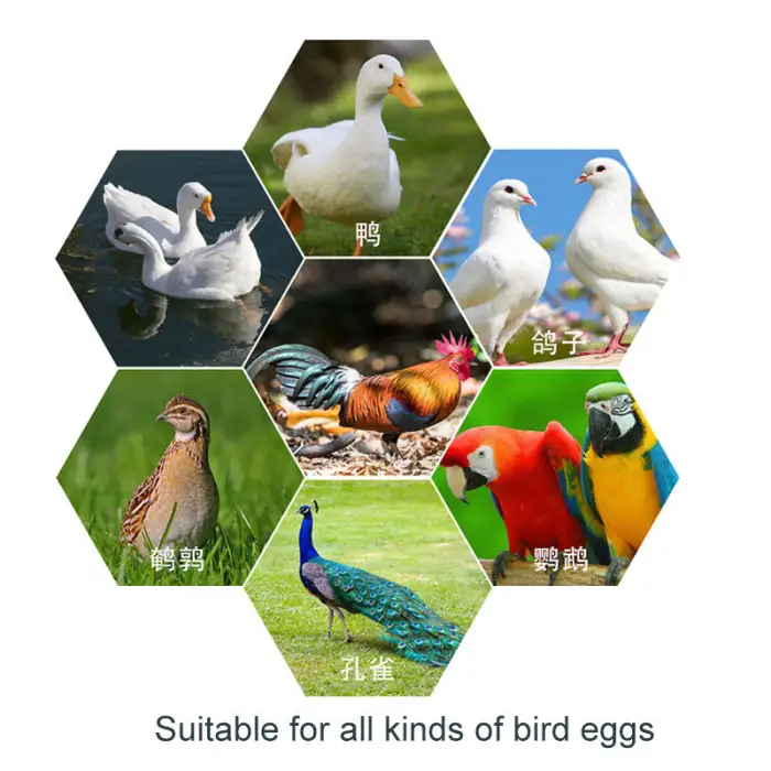 Poultry Farm Full Automatic Egg Incubators with 192 Capacity Incubators Hatching Eggs