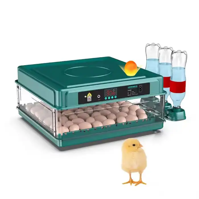 Dual Power 1 Layer 12 24 Egg Household Smart Automatic Poultry Eggs Incubator for