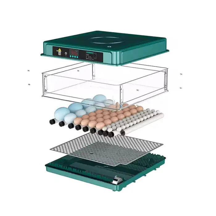 Dual Power 1 Layer 12 24 Egg Household Smart Automatic Poultry Eggs Incubator for