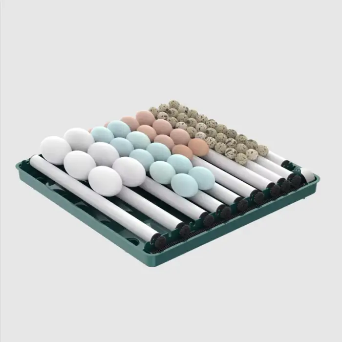 Dual Power 1 Layer 12 24 Egg Household Smart Automatic Poultry Eggs Incubator for