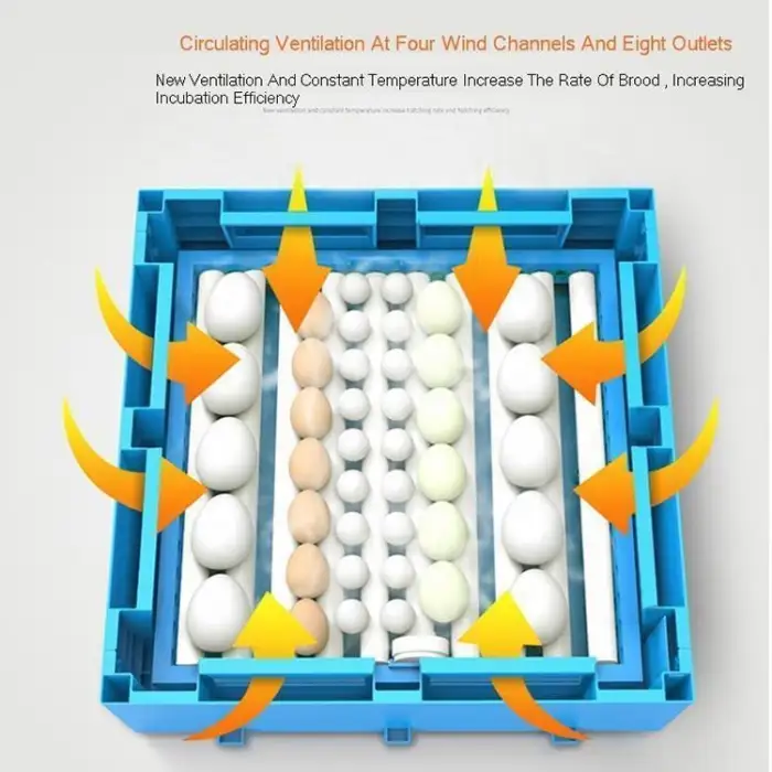 Fully Automatic Electric Duck Egg Incubator