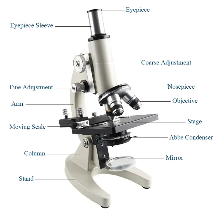 Abbe Condenser Optical Biological Microscope 200X 640X 1000X 1600X