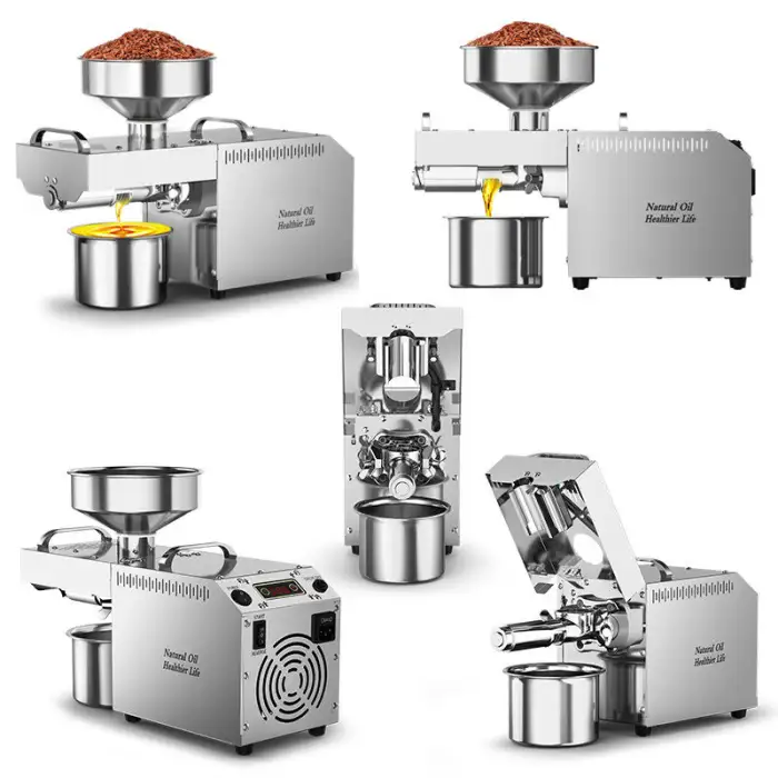 Walnut Mini Automatic Oil Press Machine Household Cold Press for Peanut Palm Sesame Soybean Oil