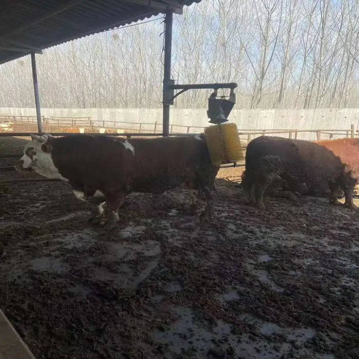 50*80 40*60 Domestic Animal Body Itch Relief Tool Horse Sheep Automatic Itch Relief Tool Cow Horse Sheep Electric Cow Body Brush