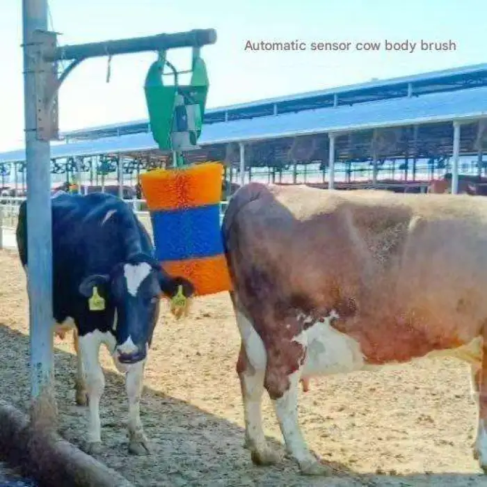 50*80 40*60 Domestic Animal Body Itch Relief Tool Horse Sheep Automatic Itch Relief Tool Cow Horse Sheep Electric Cow Body Brush