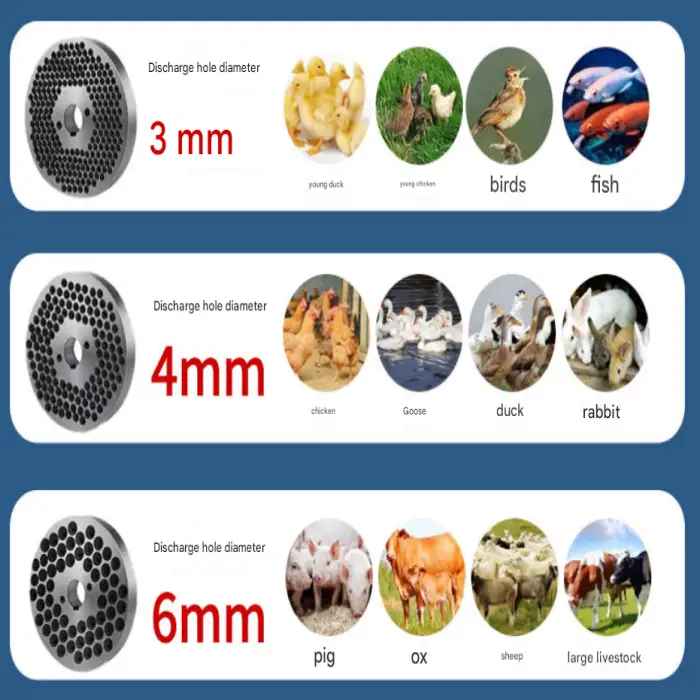 6mm Grinding disc for feed Pellet Making Machine Pelletizer