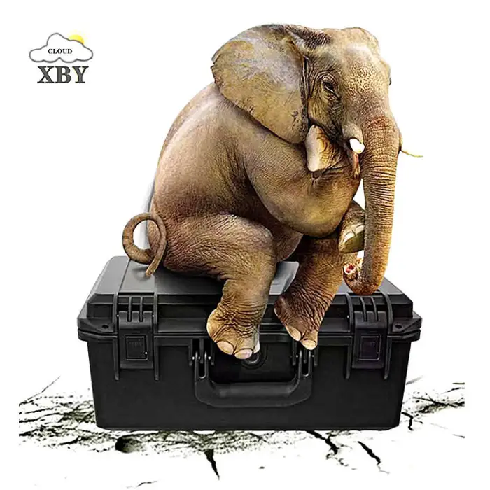 Low Shockproof Waterproof Enclosure Waterproof Plastic Case With Foam 546*400*200mm CTB21 Outdoor Tool Case