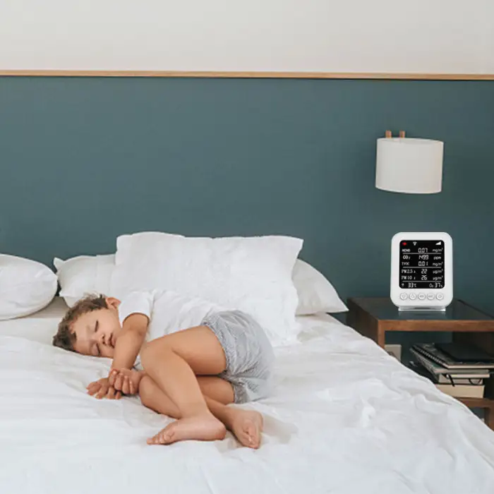 IOT Smart Air Quality Monitor Detects HCHO TVOC PM2.5 PM10 CO2 with Lora Module air Solution System for AC Ventilation