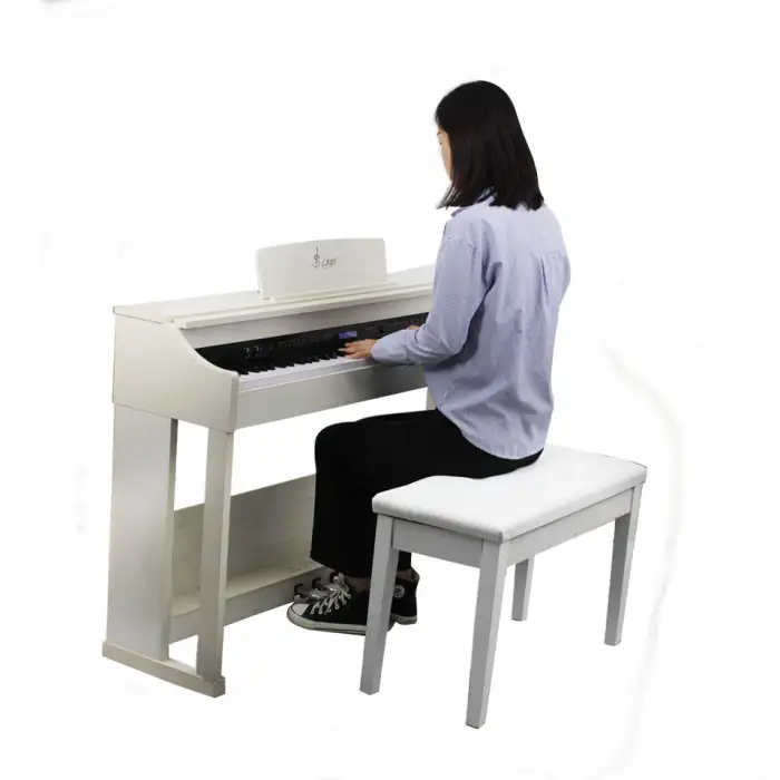 88 Key Professional Electronic Upright Pianos Weighted Hammer Digital Portable Digital Electric Keyboard Piano