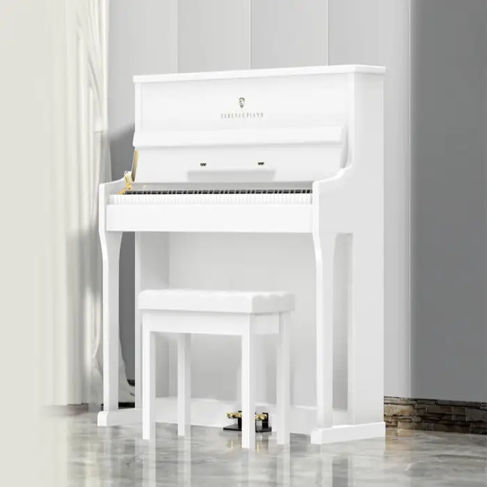 Terrence S71 88 Keys Heavy Hammer Professional Grade Beginner-Friendly Vertical Electric Piano for Home Use Upright Piano Design