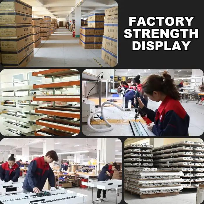 Piano Electronic Digital Piano Digital 88 Keys Weighted Hammer Keyboard Print Pianos