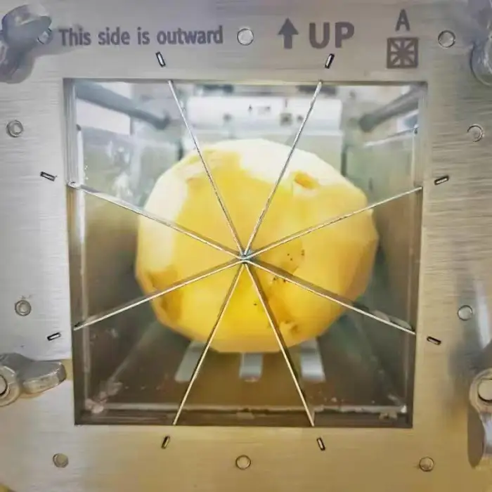 Automatic 110 220V Stainless Steel Electric Potato Slicer Cucumber Slitter Potato Chip Cutting Machine