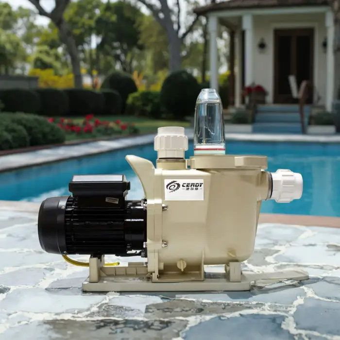 High Flow 2Hp & 3Hp Variable Speed Pool Pump 2 Speed Filter Pump for Swimming Pools Manufacturer's Pool Tools Accessories