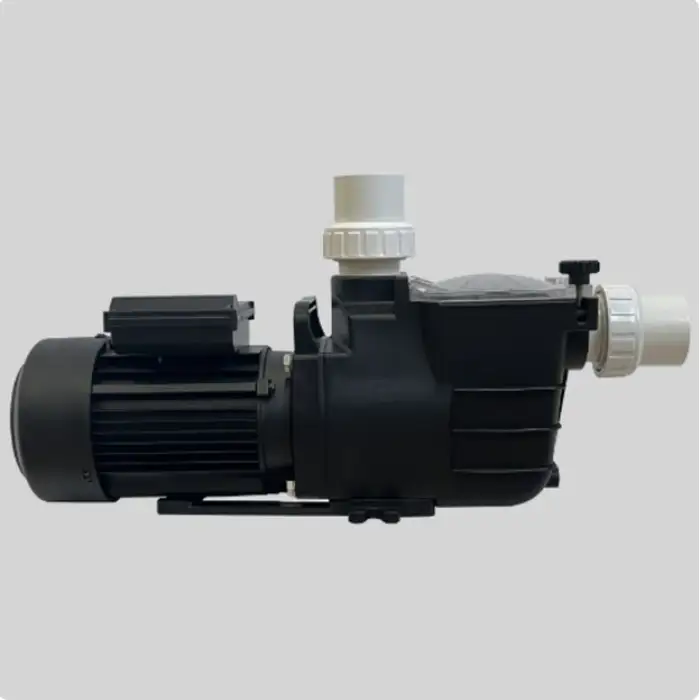 Supply SPT Series 3hp 380V 50HZ Water Pool Pump Single Stage Pump Water Solution Swimming Pool Water Pump 1HP