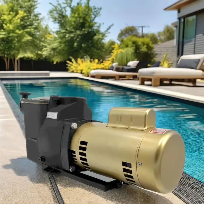 High-quality Components 220V 380V 50Hz Double Speed Swimming Water Pump Water Circulation Pump Electric Pool Pump for