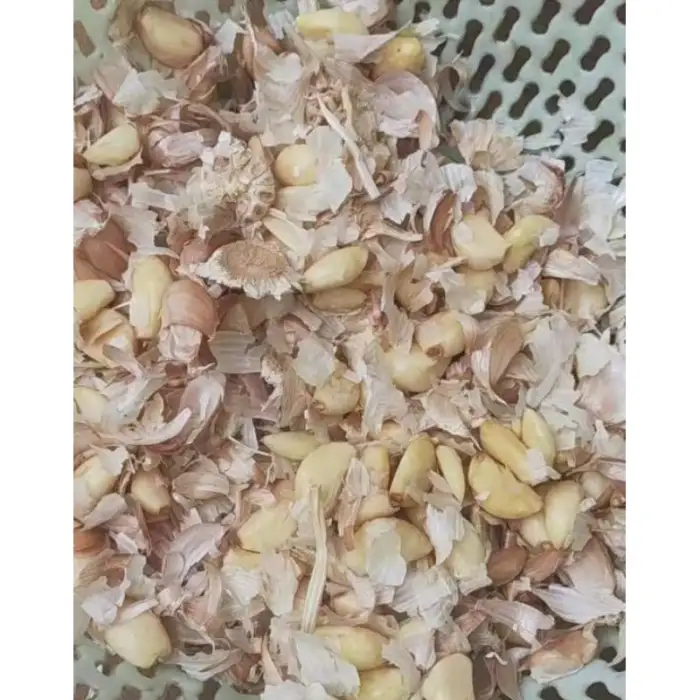 High Efficiency PLC-Controlled Electric Garlic Peeler Machine for Clove Separation and Peeling 220V/110V