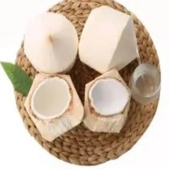 Stainless Steel Coco Water Punch Machine Young Green Coconuts Opener