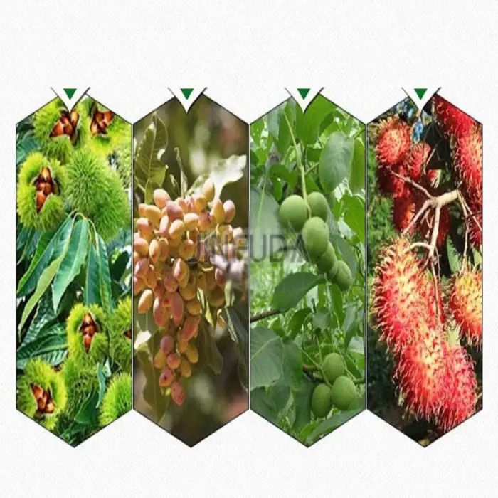 Popular Portable Fruit Olive Gasoline Picking Harvest Picking Shaker Vibrator Machine