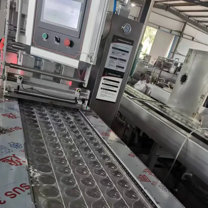 Plastic Stretch Film Packaging Machine Mozzarella Cheese Vacuum Packing Machine