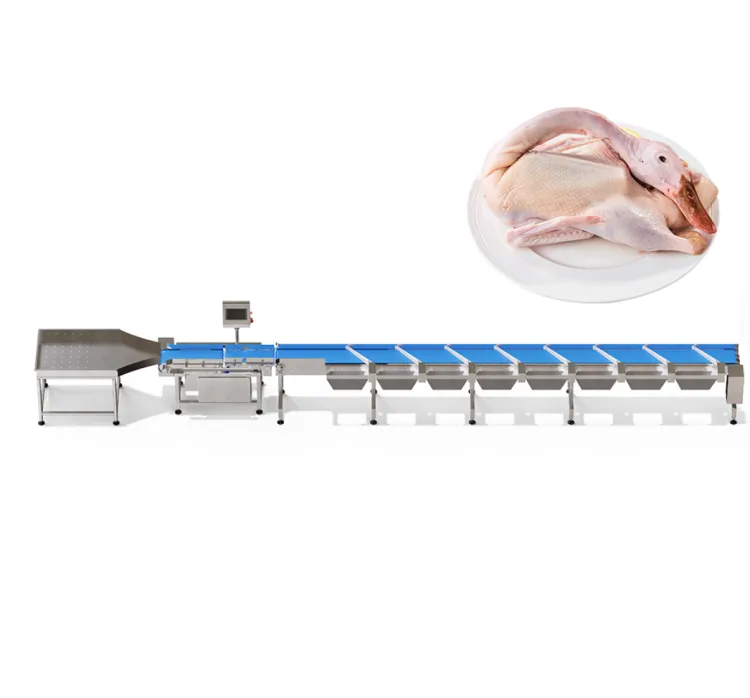 Whole Duck Chicken Classifier Line Grader Automatic Sorter view 2
