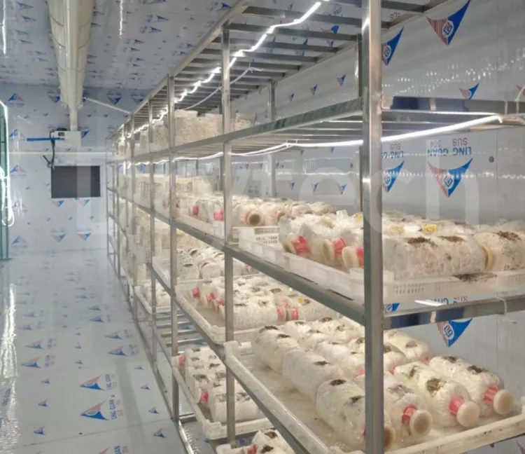 Intelligent Mushroom Cultivation Greenhouse view 3