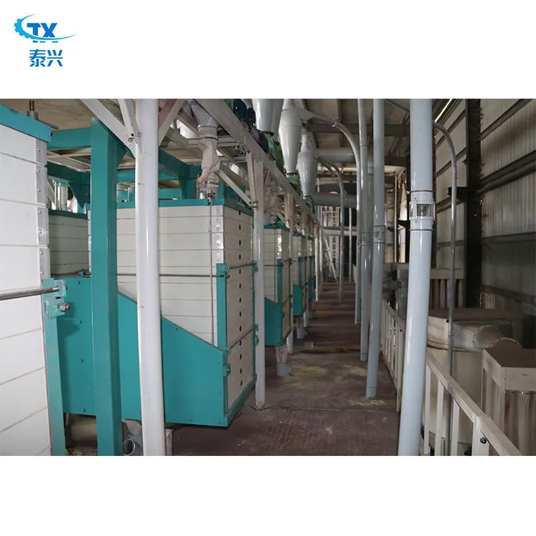100tpd Maize Milling Machines Complete Corn Processing Equipment for in Uganda — image 6