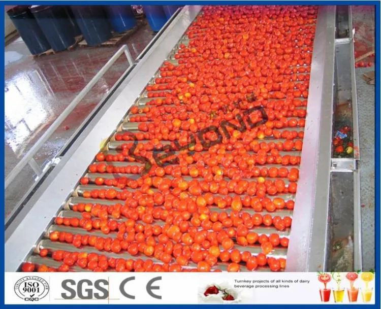 3000kg Tomato Paste and Sauce Processing Line with Evaporator Filled with Aseptic Big Drum — image 2