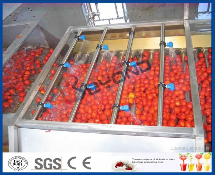 3000kg Tomato Paste and Sauce Processing Line with Evaporator Filled with Aseptic Big Drum — image 3