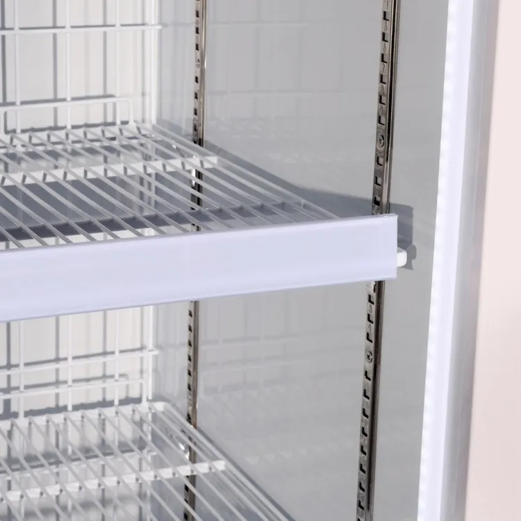Commercial Upright Display Freezer for Ice Cream Frozen Food Storage — image 1