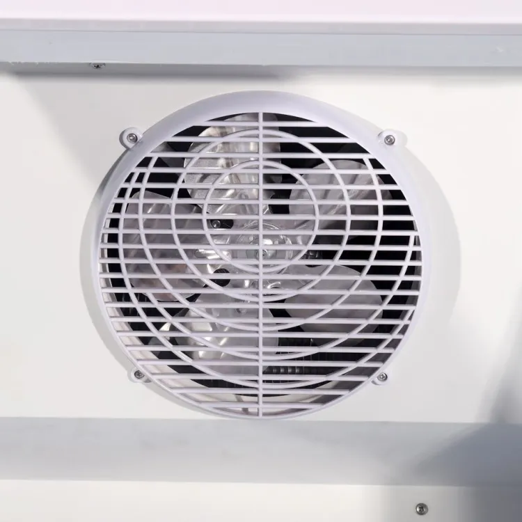 Commercial Upright Display Freezer for Ice Cream Frozen Food Storage — image 2