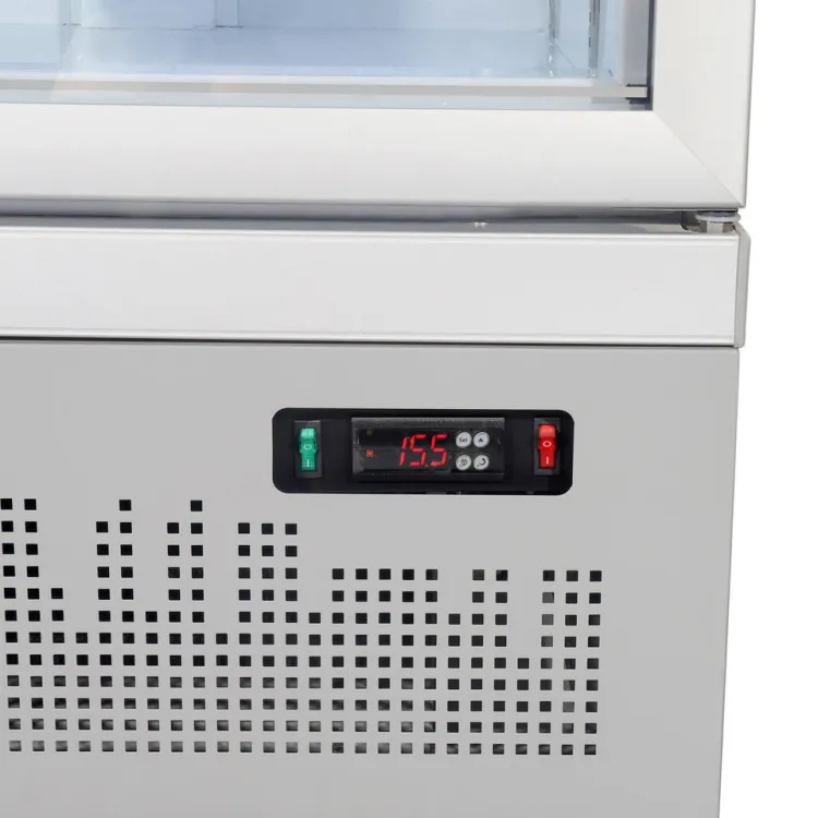 Commercial Upright Display Freezer for Ice Cream Frozen Food Storage — image 3