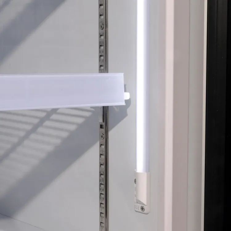 Commercial Upright Display Freezer for Ice Cream Frozen Food Storage — image 4