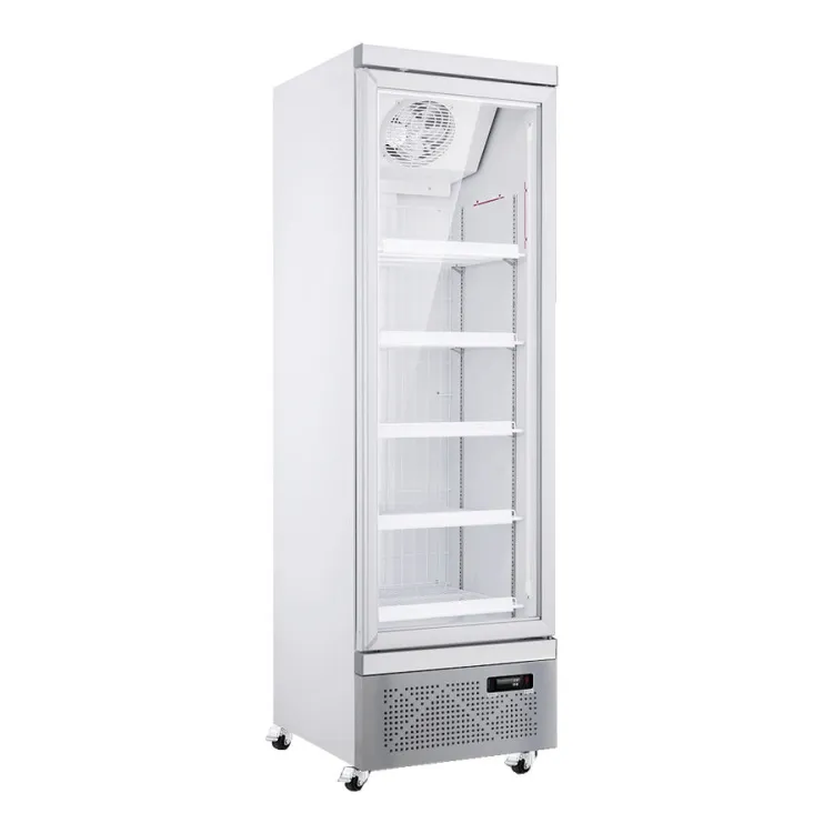 Commercial Upright Display Freezer for Ice Cream Frozen Food Storage — image 5