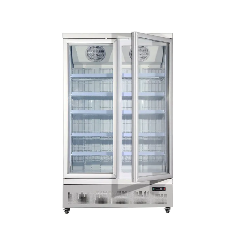 Commercial Upright Display Freezer for Ice Cream Frozen Food Storage — image 6