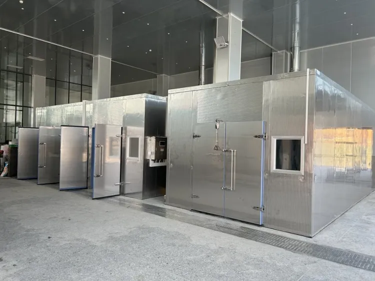 Commercial Energy Saving Heat Pump Automatic Mango Banana Raisin Fruit Drying Machine Professional Food — image 3